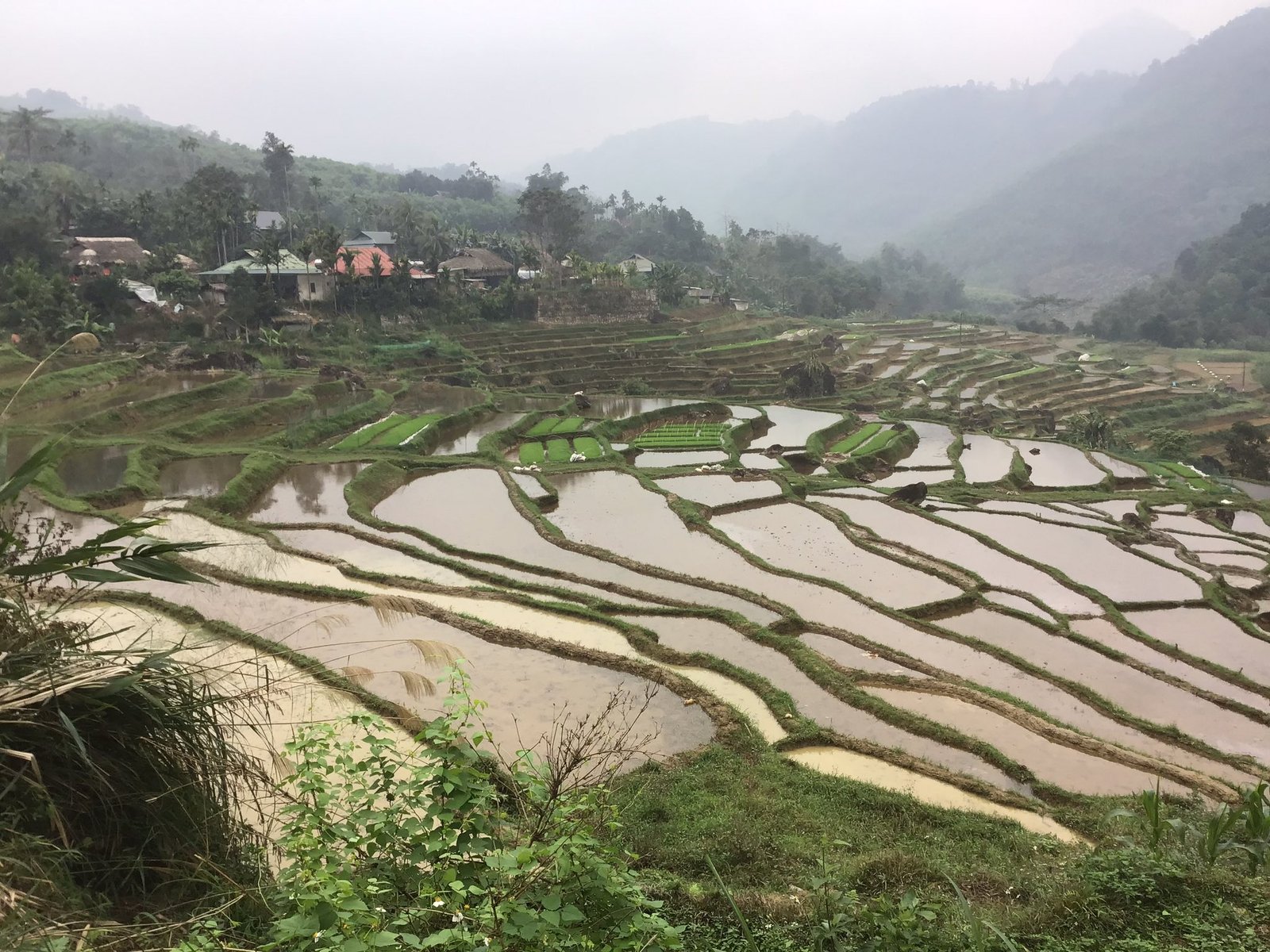 E-Bike Cycling Tour: Hanoi - Ba Be - Ha Giang 7 Days